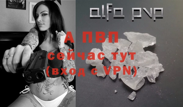 ECSTASY Богородицк