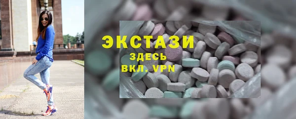 ECSTASY Богородицк