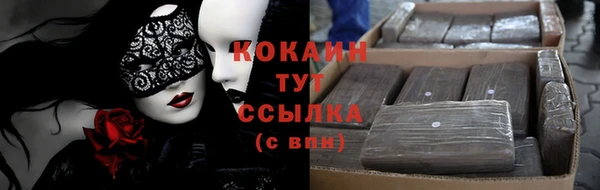 ECSTASY Богородицк